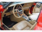 Thumbnail Photo 22 for 1981 Chevrolet Corvette Coupe